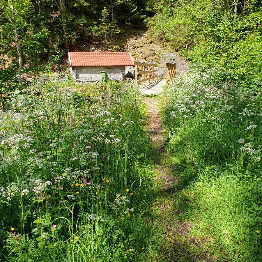 Cabin Near Lake And Beautiful Nature Reserve. Bodafors ภายนอก รูปภาพ